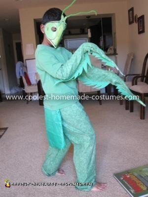 Homemade Praying Mantis Costume