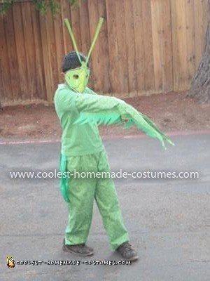 Homemade Praying Mantis Costume