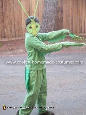 Homemade Praying Mantis Costume