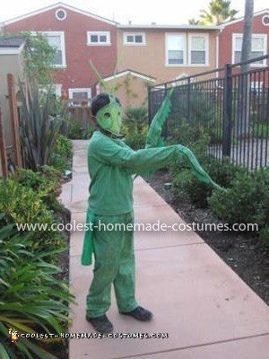 Homemade Praying Mantis Costume