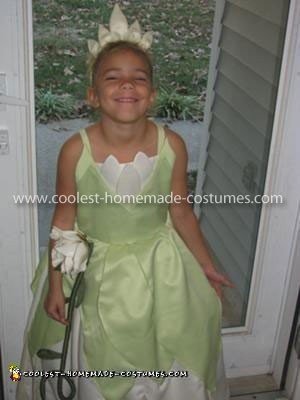 Coolest Princess and the Frog Costume