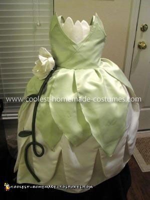 Coolest Princess and the Frog Costume