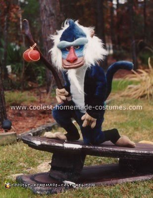 Homemade Rafiki Costume from the Lion King