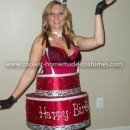 Coolest Red Velvet Birthday Cake Costume