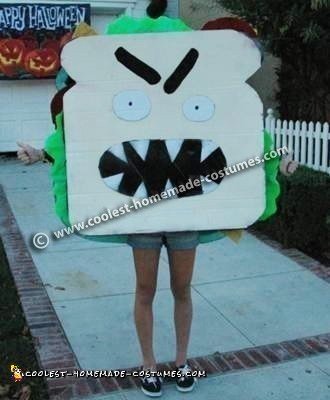 Sandwich DIY Halloween Costume