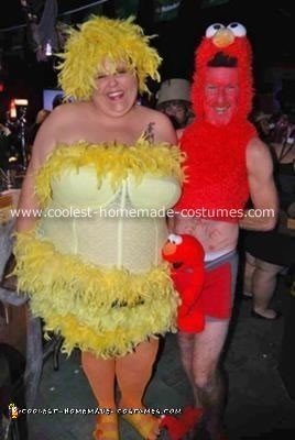 Homemade Sesame Street Revisited Costumes