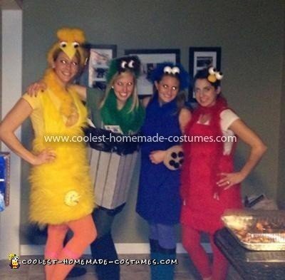 Homemade Sesame Street Gang Costume