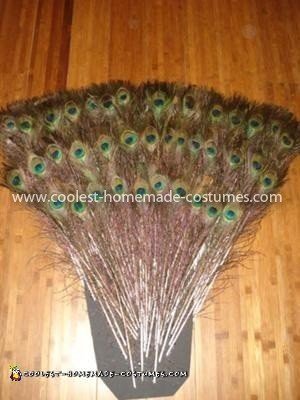 Homemade Sexy Peacock Showgirl Costume