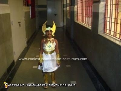 Homemade She Ra Costume