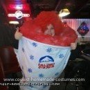 Homemade Sno Kone Costume