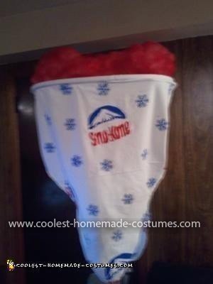 Homemade Sno Kone Costume