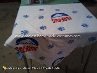 Homemade Sno Kone Costume