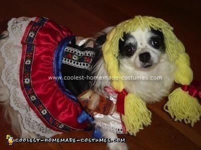 Pet Dog Costume