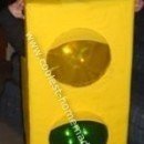 Lucas the Stoplight Costume