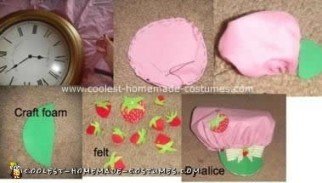 Coolest Strawberry Shortcake Vintage Homemade Costume