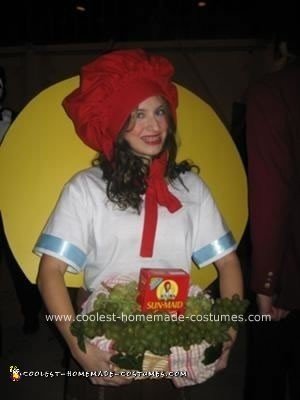 Sunmaid Raisin Girl Costume