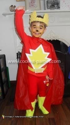 Homemade Super Ted Costume