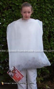 Homemade Tea Bag Costume