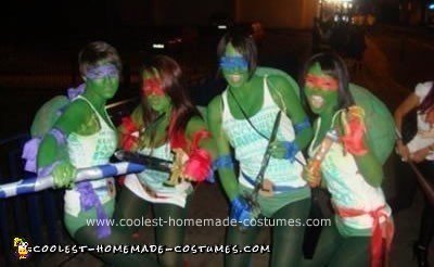 Homemade Teenage Mutant Ninja Turtles Costumes