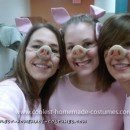 Homemade Three Little Pigs Costume