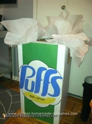 Homemade Tissue Box Costume