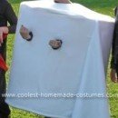 Homemade Toilet Paper Roll Costume