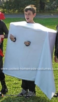 Homemade Toilet Paper Roll Costume