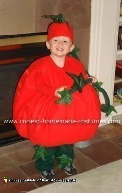 Vegetable Dresses - 8 Creative Dress Made From Vegetable | Nature dress, Vegetable  dress, Mother nature costume