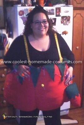 Coolest Tomato Pin Cushion Costume