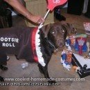 Homemade Tootsie Roll Pet Dog Costume