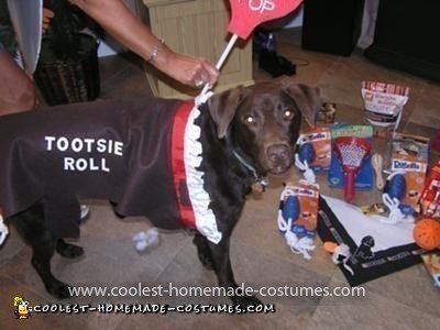 Homemade Tootsie Roll Pet Dog Costume