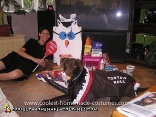 Homemade Tootsie Roll Pet Dog Costume