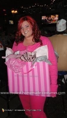 Homemade Victoria's Secret Bag Costume