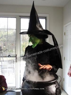 Wicked Witch DIY Halloween Costume