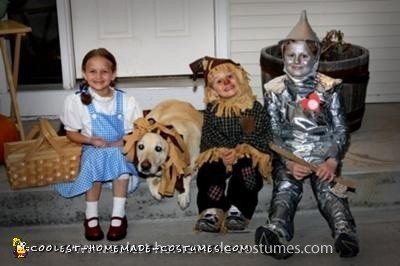 Homemade Wizard of Oz Costume