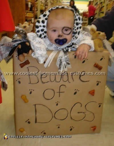 Dog Costumes