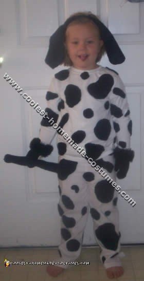Coolest Homemade Dog Costumes - Photo Gallery and How-To Tips
