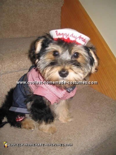 Dog Halloween Costumes