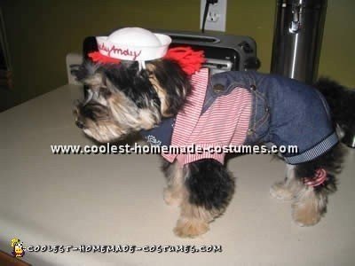 Dog Halloween Costumes