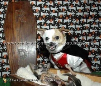 Coolest Dog Halloween Costumes - Photos and How-To Tips