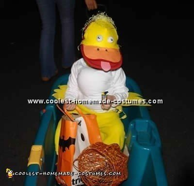 Coolest Homemade Duck Costume Ideas