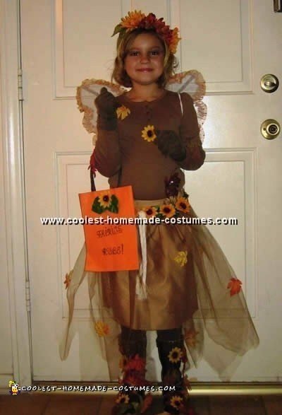 Fairy Costume