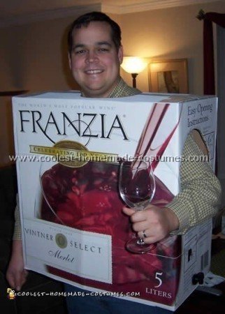 Really Good Halloween Costume Idea and Photos