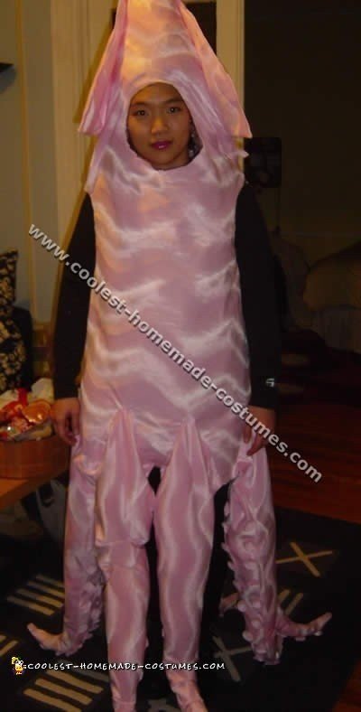 Squid Costume
