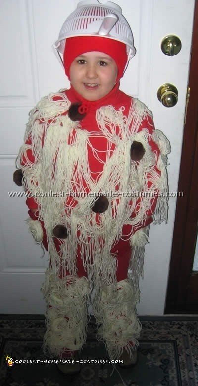 Spaghetti Homemade Costume