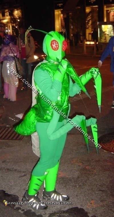 Coolest Homemade Insect Costume Ideas