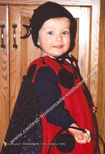 Lady Bug Costume