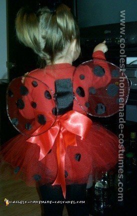 Sophie monitor Diversion Easy Do-it-Yourself Lady Bug Costume Ideas for Kids