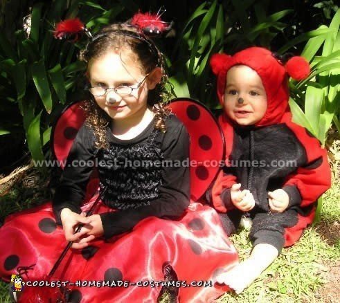 Easy Do-it-Yourself Lady Bug Costume Ideas for Kids