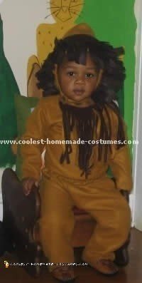 7 Coolest Homemade Lion Costume Ideas for Kids